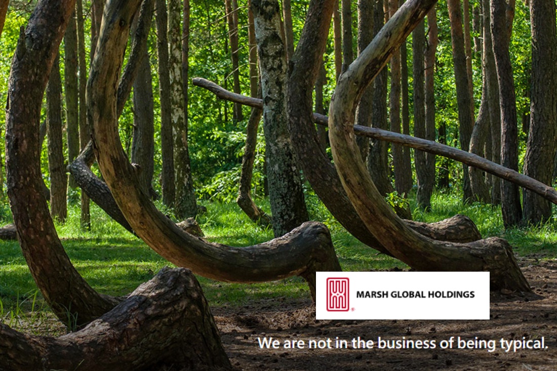 Marsh Global Holdings logo over curved forest trees with the tagline “We are not in the business of being typical.”